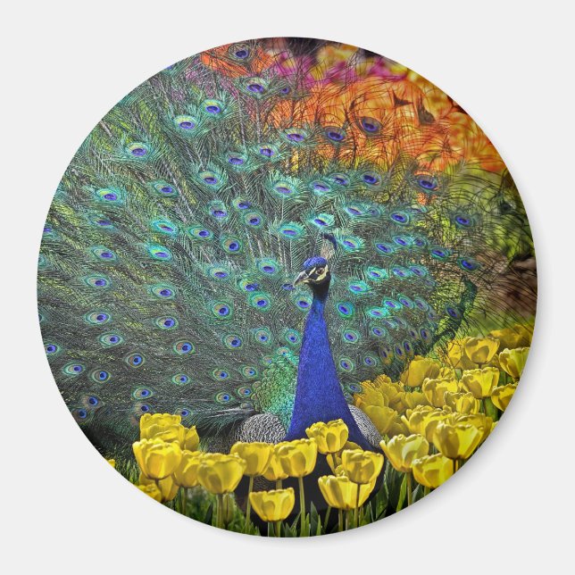 Pavo real en las flores de primavera #1 imán (Frente)