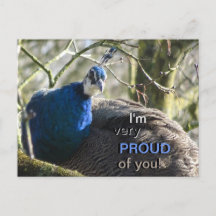 ¡Pavo real en un árbol ORGULLOSO de ti! Postal