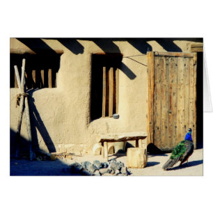 Pavo real viejo del fuerte de las encorvaduras