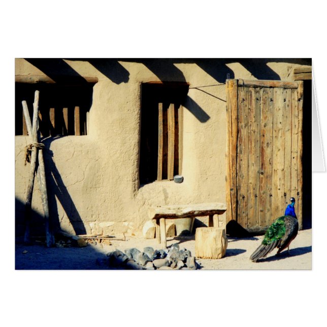 Pavo real viejo del fuerte de las encorvaduras (Anverso (Horizontal))