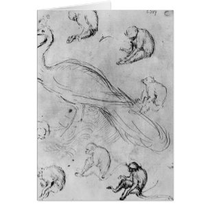 Pavo real y seis monos