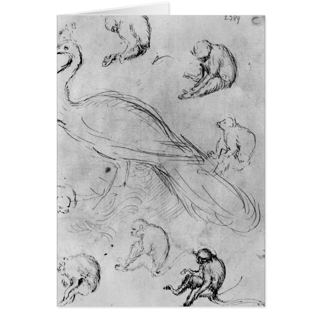 Pavo real y seis monos (Frente)