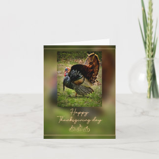 Pavo Tom Día de Acción de Gracias tarjeta de vacac