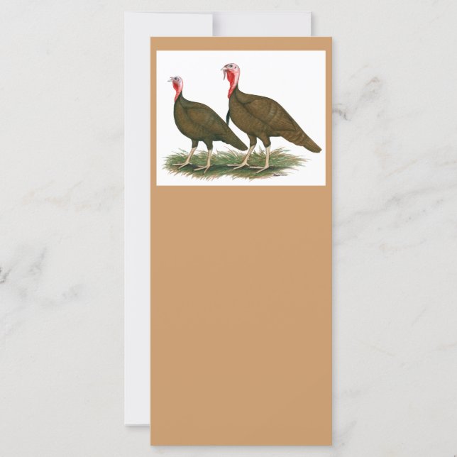 Pavos: Chocolate (Anverso)