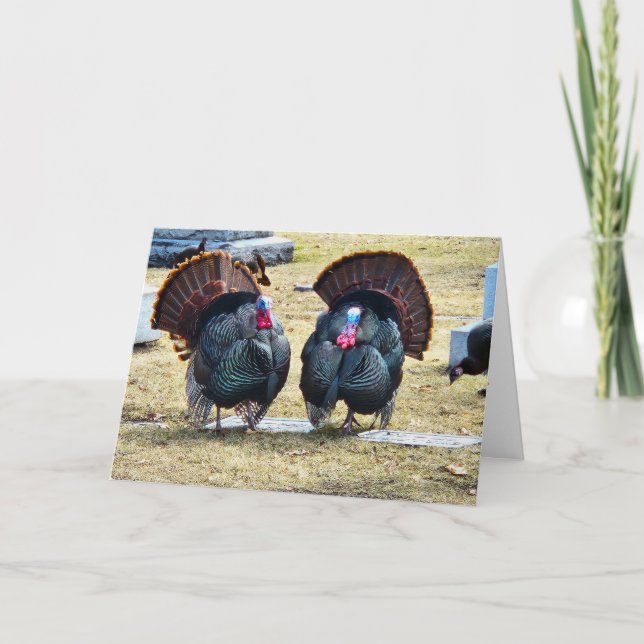 "Pavos de una Pluma" Tarjeta de Acción de Gracias (Anverso)