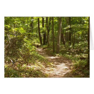 pavos en la ruta de los appalaches