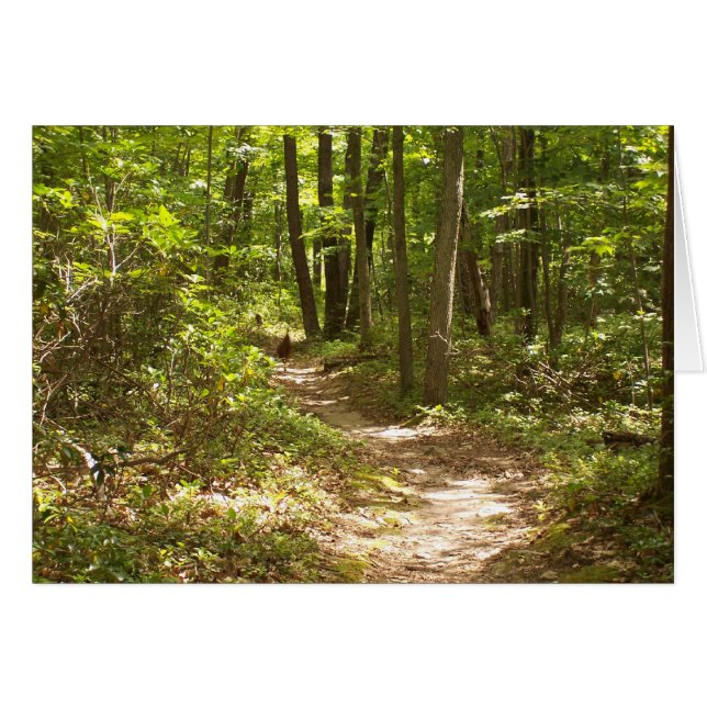 pavos en la ruta de los appalaches (Anverso (Horizontal))