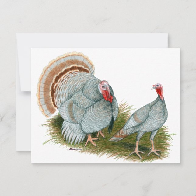 Pavos:  Lila (Anverso)