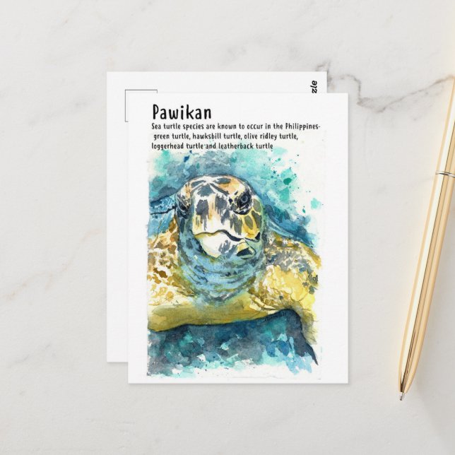 Pawikan/ Tortuga Filipina - Tarjetas Postales DNM (Anverso/Reverso In Situ)