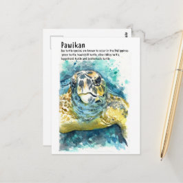 Pawikan/ Tortuga Filipina - Tarjetas Postales DNM