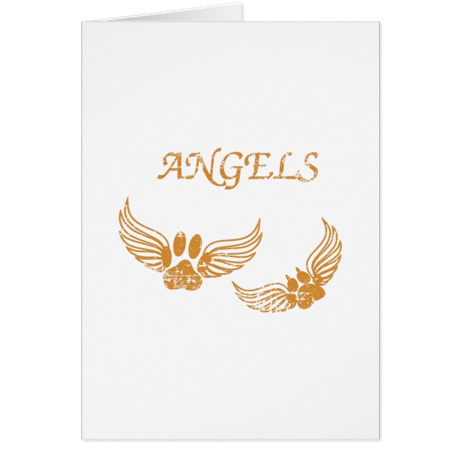 Paws de Mascota Angel con problemas (Frente)