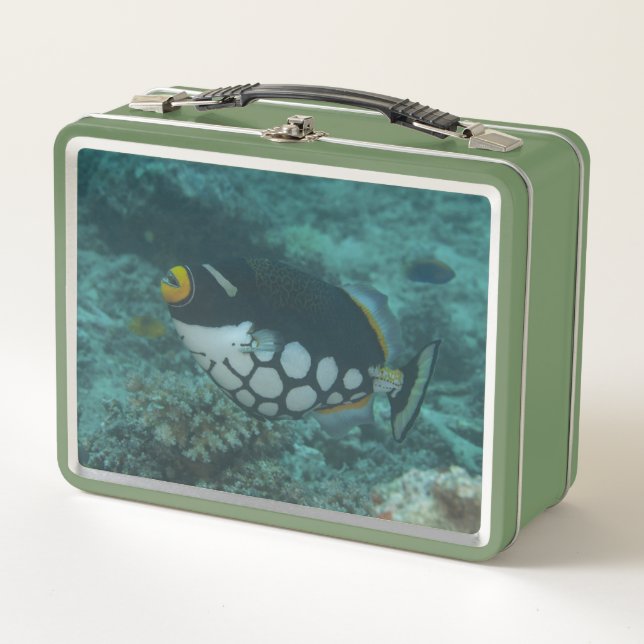 Payasos lanzan lanzas en la laguna Bega Fiyi (Anverso)