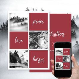 Paz amor caballos Amante de los caballos Navidad F