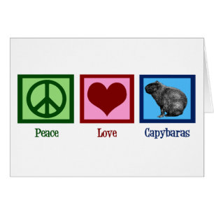 Paz Amor Capybaras