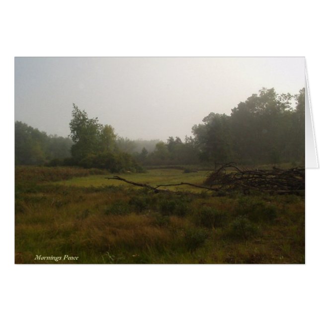 Paz de las mañanas (Anverso (Horizontal))