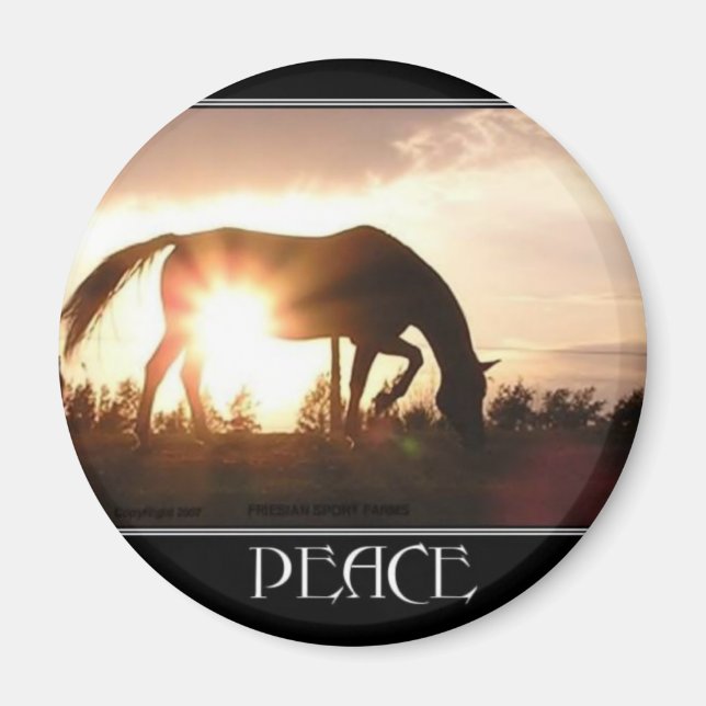 Paz en el imán de la puesta del sol (Frente)