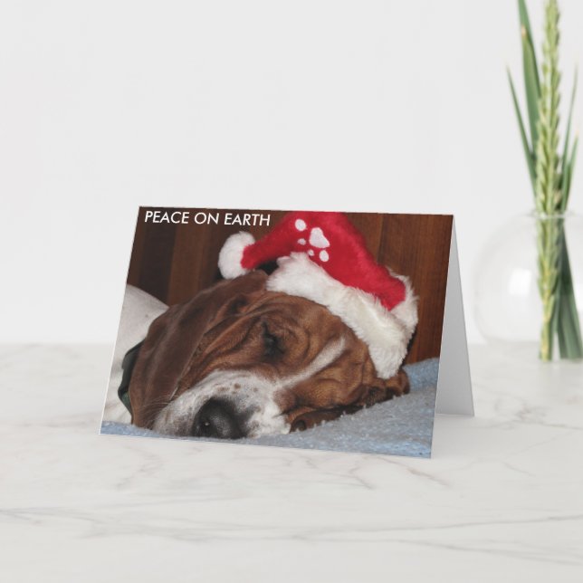 PAZ EN TARJETAS DE LA TIERRA (Anverso)