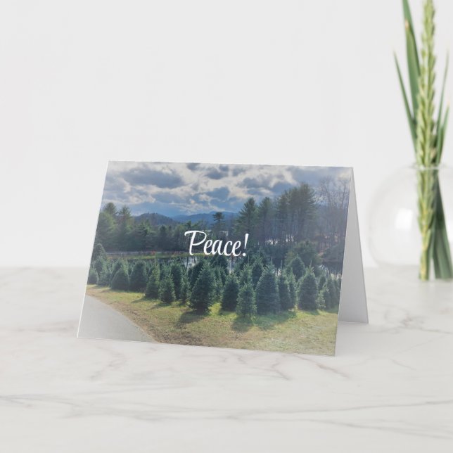 Paz, Navidades doblados tarjetas de felicitación (Anverso)