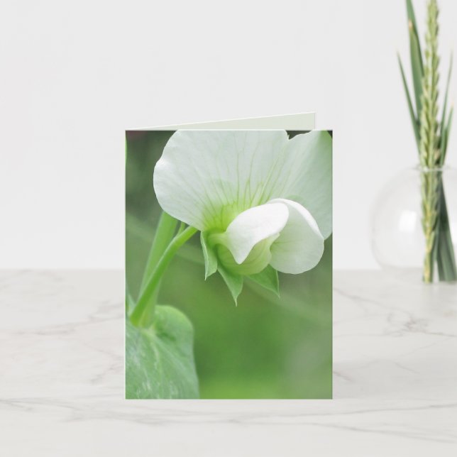 Pea Blossoms personalizado notecard o tarjeta de s (Anverso)