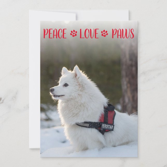 Peace Love Paws Photo Red Navidad Flat Card (Anverso)