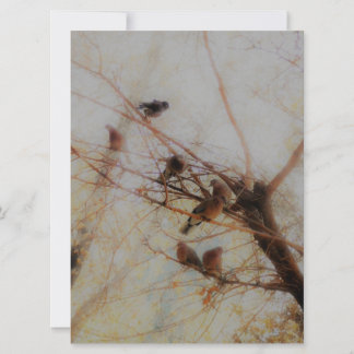 Peaceful Birds Flat Card