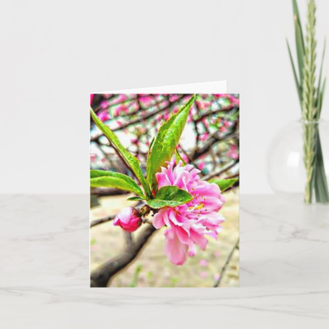 Peach Blossom plegado Tarjeta de agradecimiento (Anverso)