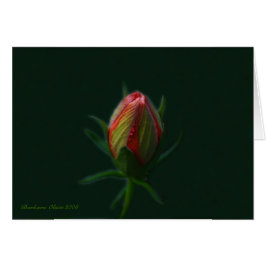 Peach Hibiscus flor-alma floreciente en la natural