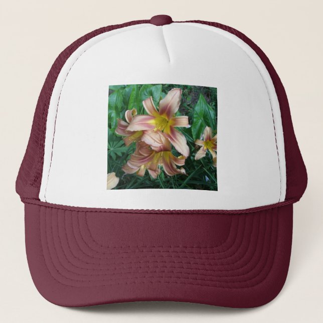 Peach Lily Gorra (Anverso)