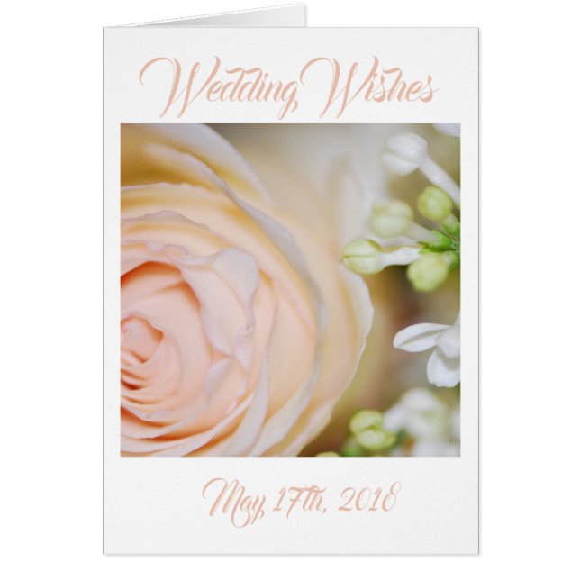 Peach Rosa y Lilacs (Frente)