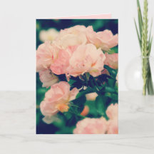 Peachy Pink Roses Cualquier Oportunidad Tarjeta De