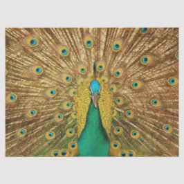 Peacock 2 Wall Art Decapitar Papel de tejidos