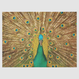 Peacock 2 Wall Art Decapitar Papel de tejidos