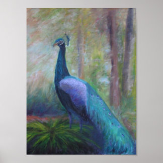 PEACOCK DE LA FUNDACIÓN DE JÓVENES Posters