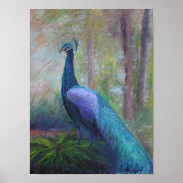 PEACOCK DE LA FUNDACIÓN DE JÓVENES Posters (Frente)