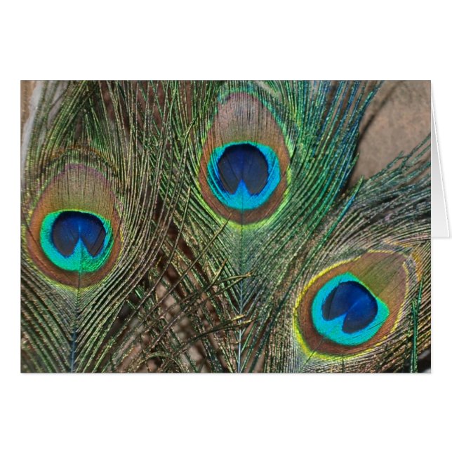 Peacock Feather Boda (Anverso (Horizontal))
