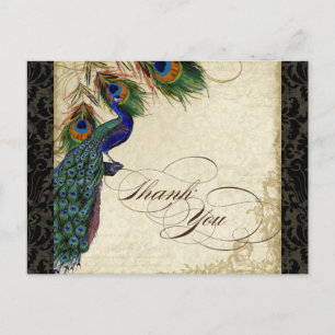 Peacock & Feather Formal Gracias Nota Negro Tan