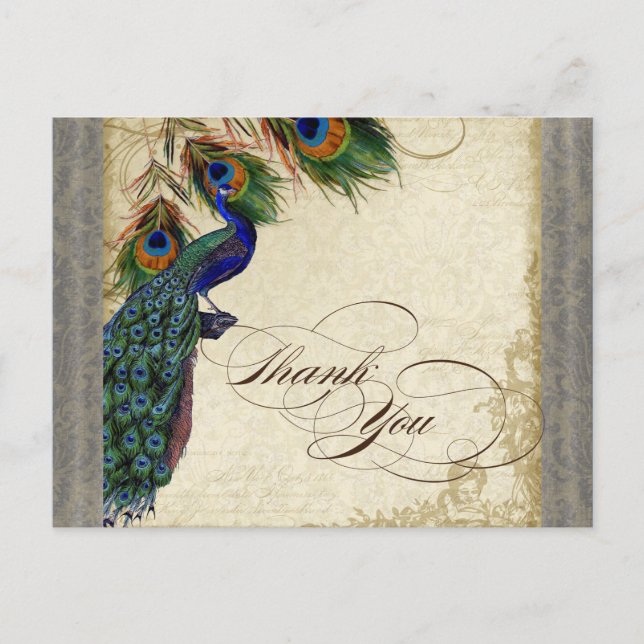 Peacock & Feather Formal Gracias Nota Plata (Anverso)
