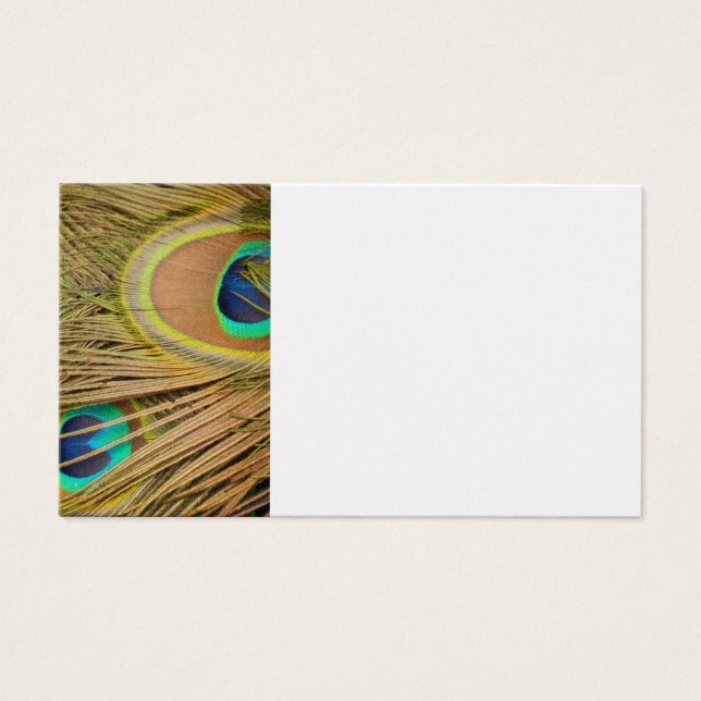 Peacock Feathers (Frente)