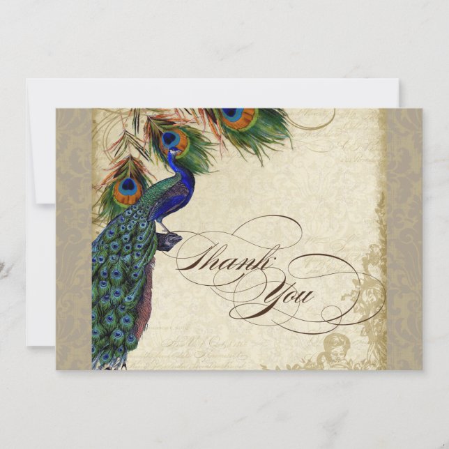 Peacock Feathers Formal Gracias Notas Taupe (Anverso)