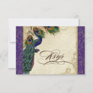 Peacock & Feathers Respuesta formal RSVP Púrpura
