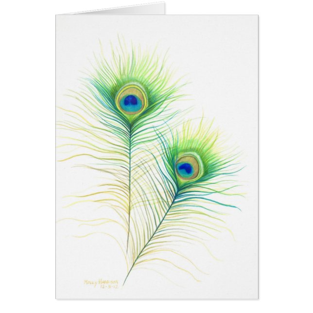 Peacock Feathers Watercolor Ilustracion (Frente)