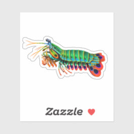 Peacock Mantis Shrimp Contour Pegatina