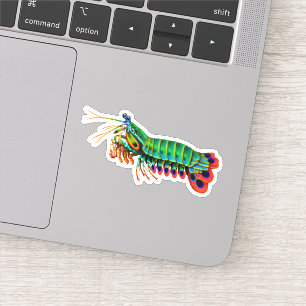 Peacock Mantis Shrimp Contour Pegatina