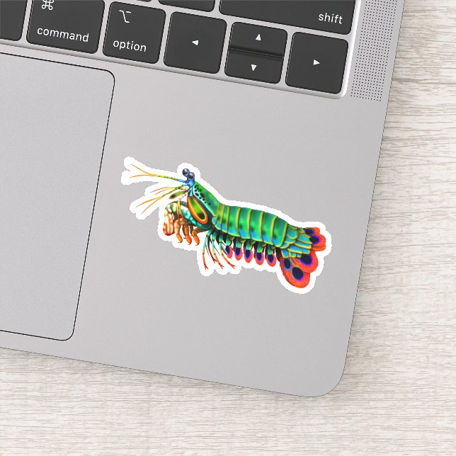 Peacock Mantis Shrimp Contour Pegatina (Detalle)