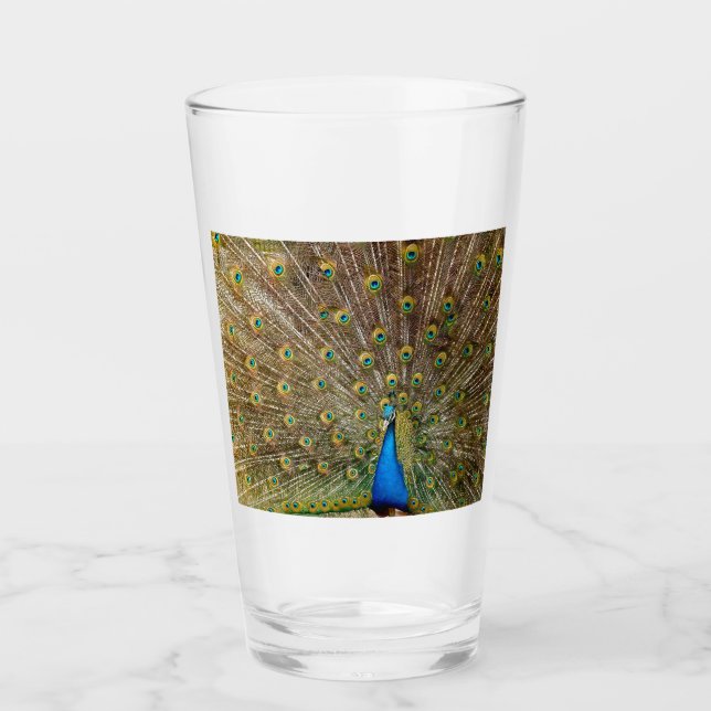 Peacock Tail Feathers (Anverso)