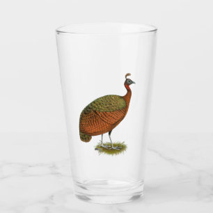 Peafowl: Congo Peahen
