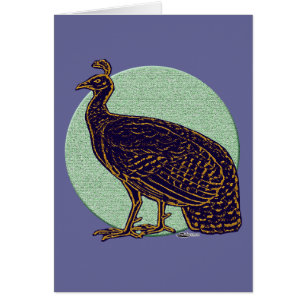 Peafowl: Impresionante Congo Hen