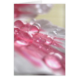 Pearls Card