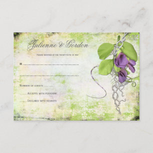 Peas dulces de lavanda púrpura RSVP