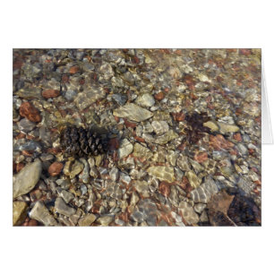 Pebbles en la fotografía de la naturaleza de Taylo